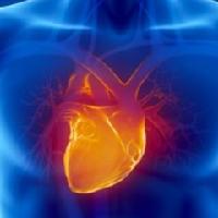 Cardiovascular and Metabolomic Medicine